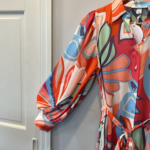 Alexis for target Beautiful multi floral colorful print maxi button up dress - Picture 7 of 16